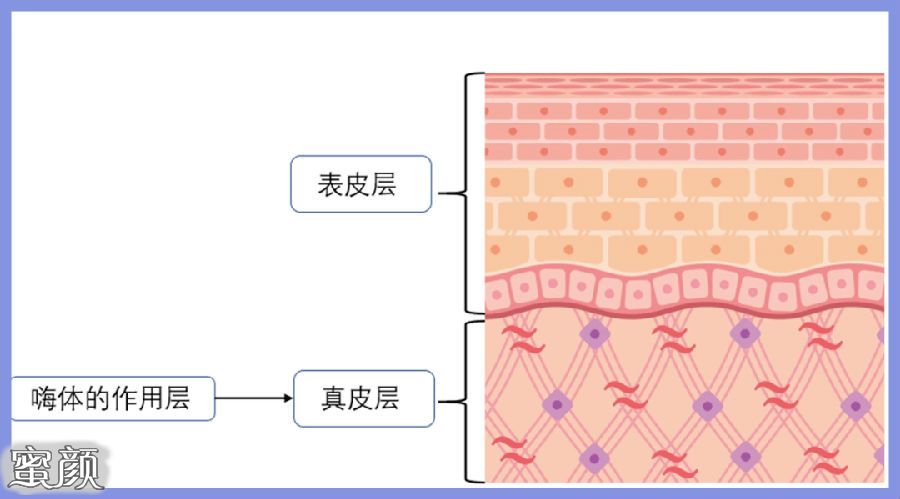 案例图片