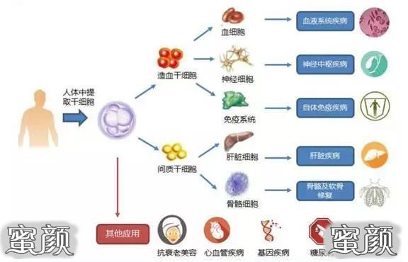 案例图片