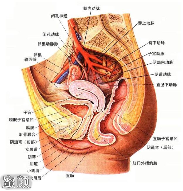 案例图片