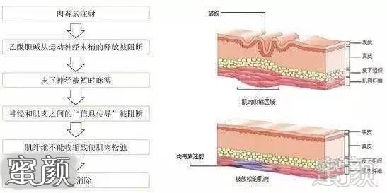 案例图片