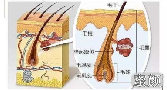 案例图片