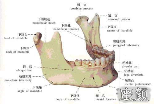 案例图片