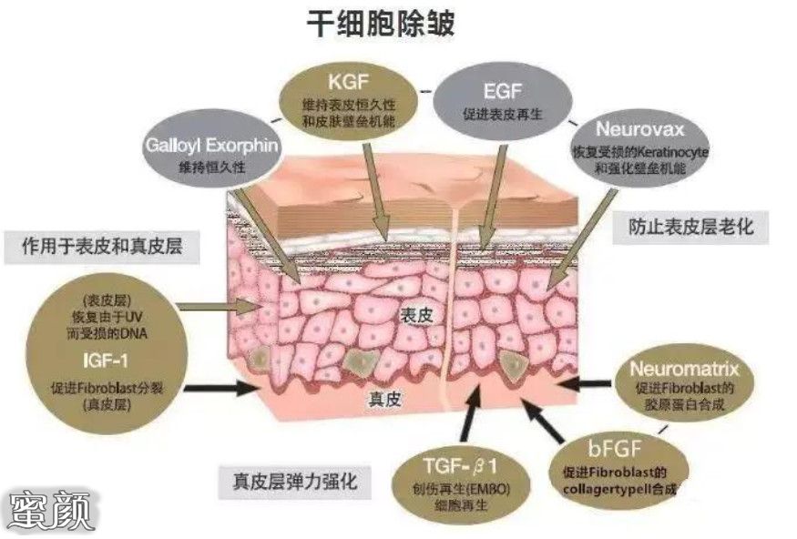 案例图片