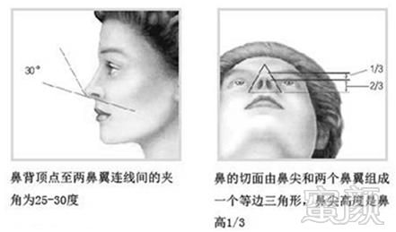 案例图片
