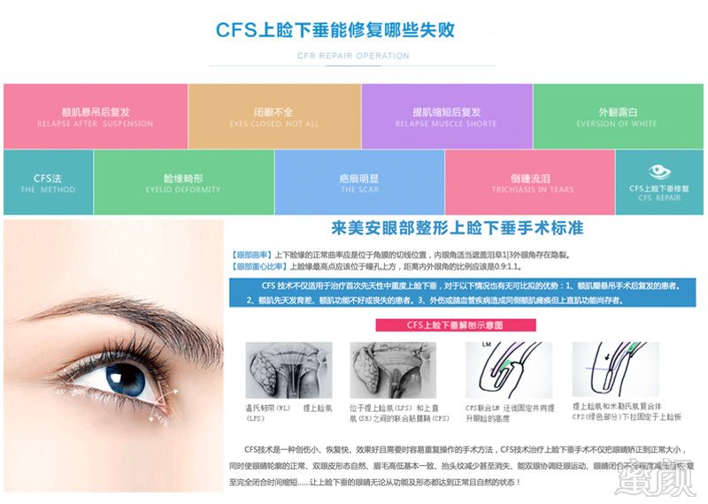 案例图片