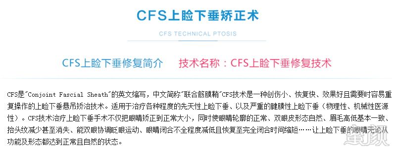 案例图片