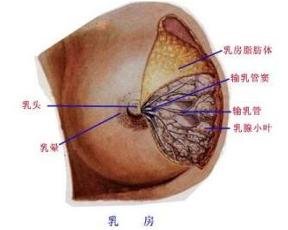 案例图片