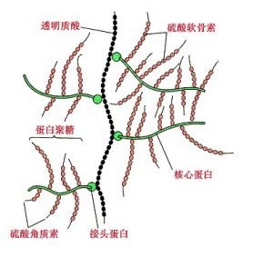 案例图片