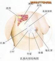 https://img.yiyiaimei.com/mnt/timg/170731/1Q1052F4-0.jpg