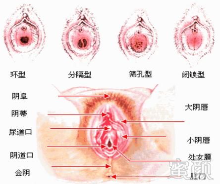 https://img.yiyiaimei.com/mnt/timg/170802/151U924b-0.jpg
