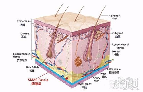 https://img.yiyiaimei.com/mnt/timg/170803/112K06434-3.jpg