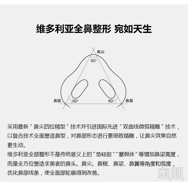 案例图片