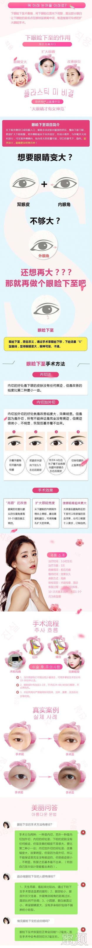 案例图片