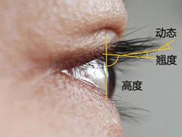 https://img.yiyiaimei.com/mnt/timg/170823/132503C62-13.jpg