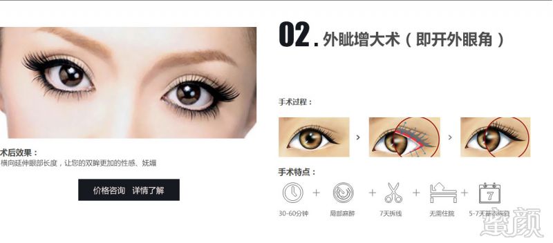 案例图片