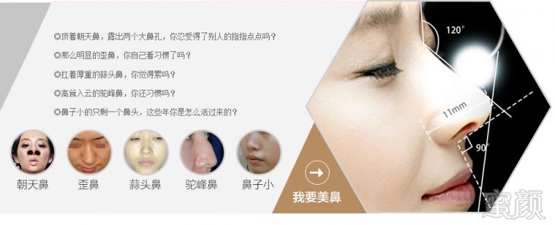 案例图片