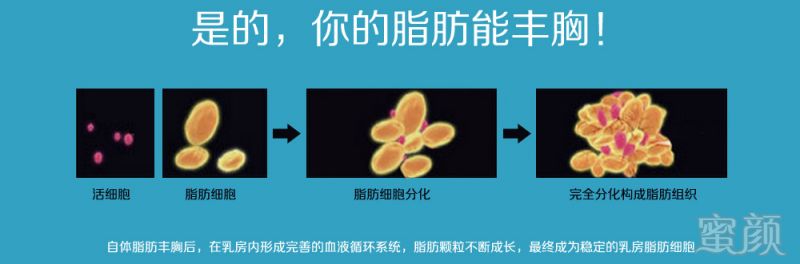 案例图片