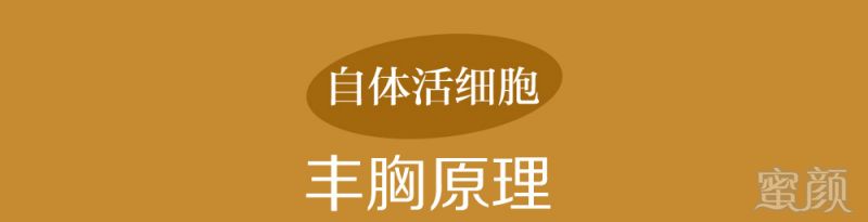 案例图片