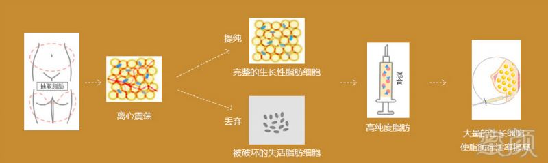 案例图片