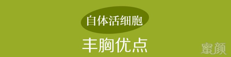 案例图片