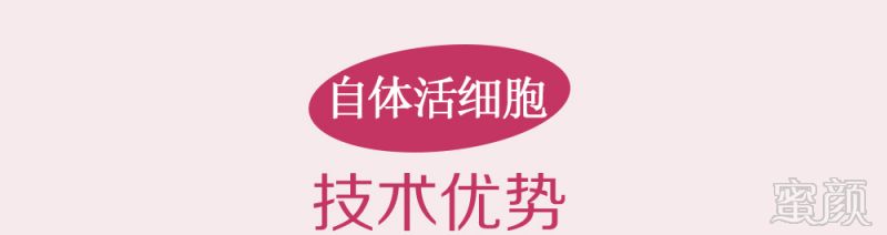 案例图片