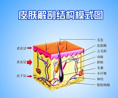 案例图片