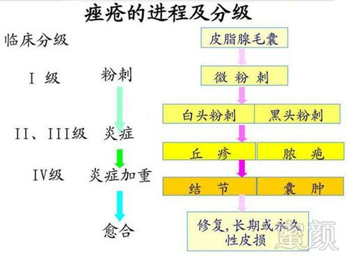 案例图片