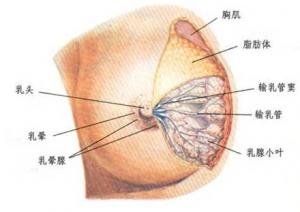 案例图片