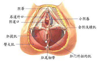 案例图片