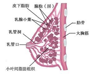 案例图片