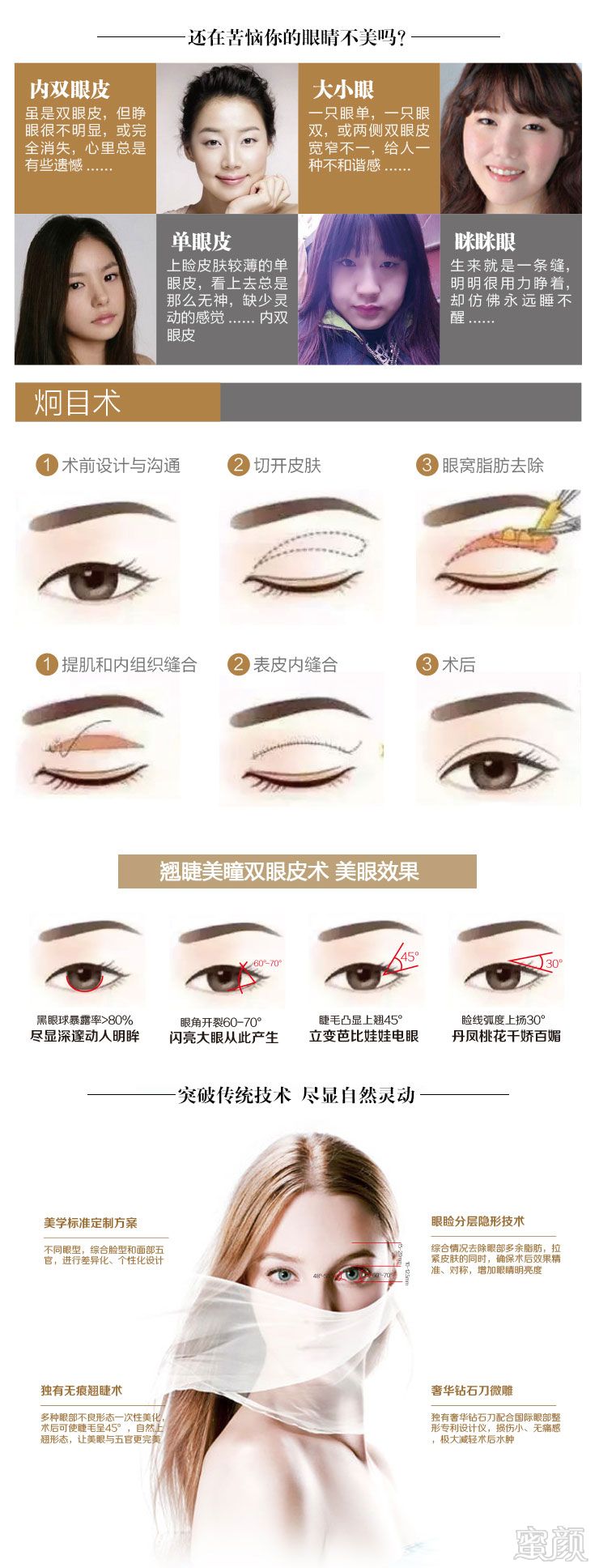 案例图片