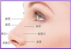 https://img.yiyiaimei.com/mnt/timg/190103/1P614GS-0.jpg