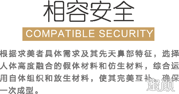 案例图片