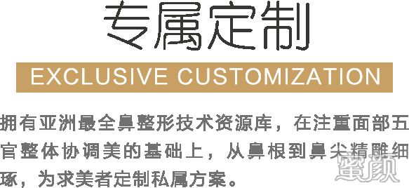 案例图片