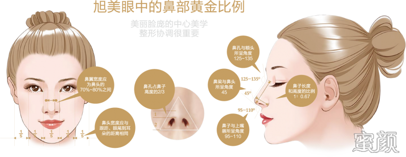 案例图片