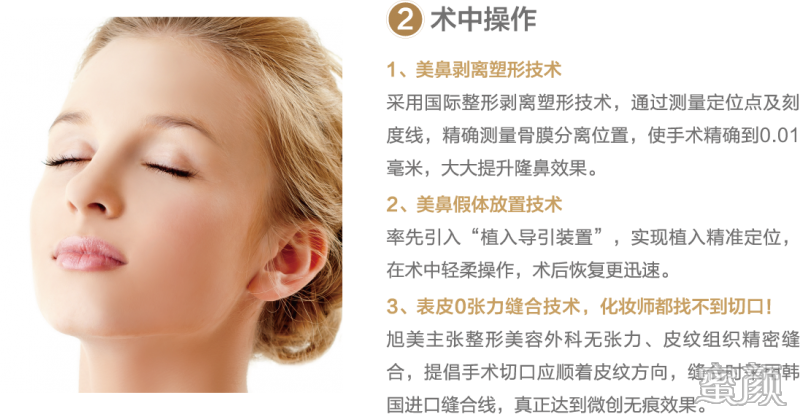 案例图片