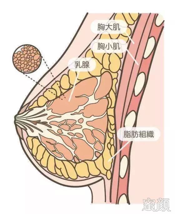 案例图片