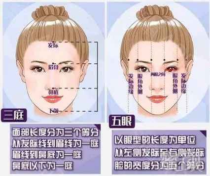 案例图片