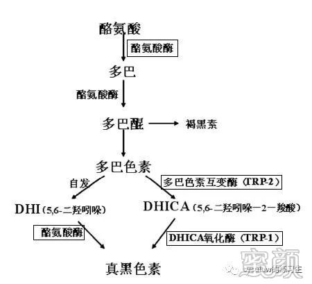 案例图片