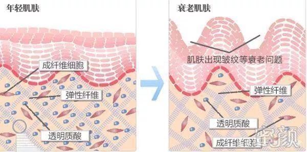 案例图片