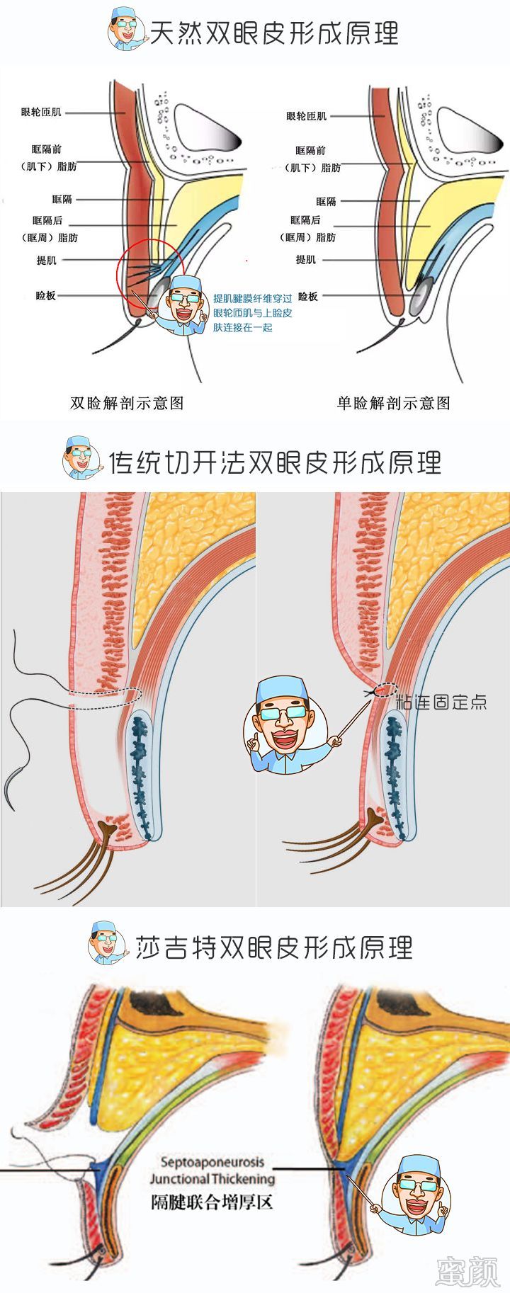 案例图片