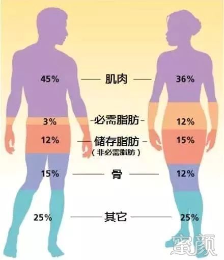 https://img.yiyiaimei.com/mnt/timg/200121/1225462U2-2.jpg