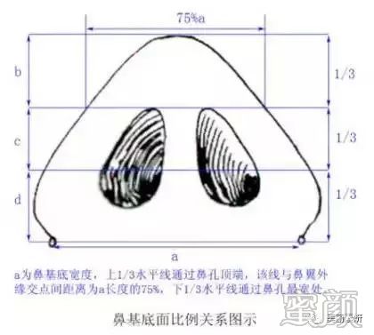 案例图片