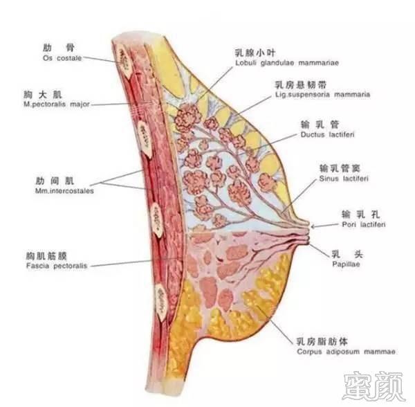 案例图片