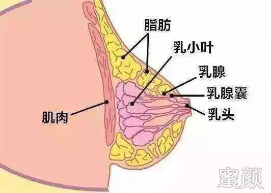 案例图片