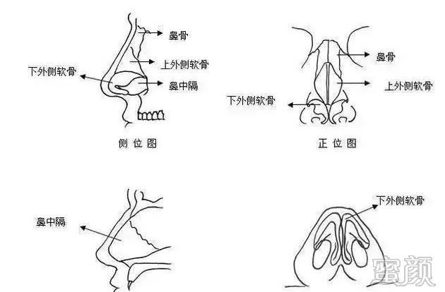 案例图片