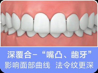 案例图片