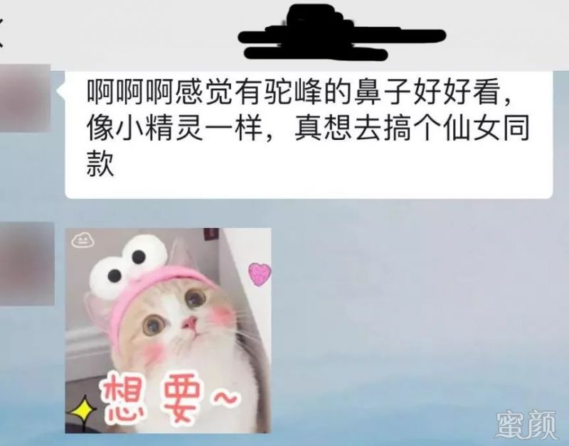 案例图片