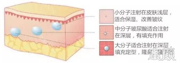 案例图片