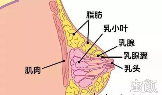 案例图片